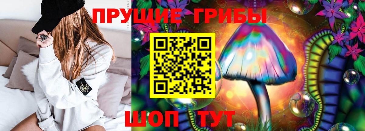 Рузаевка  хочу наркоту  Псилоцибиновые грибы Psilocybe  Вход с VPN  Галлюциногенные грибы мицелий 